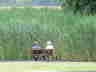 PICT0208