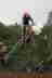 XMXXIMG_8